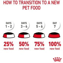 Royal Canin Hair & Skin Care in Jelly