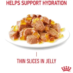 Royal Canin Hair & Skin Care in Jelly
