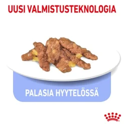 Royal Canin Indoor Sterilised hyytelössä