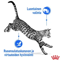 Royal Canin Indoor Sterilised Mousse