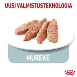 Royal Canin Indoor Sterilised Mousse
