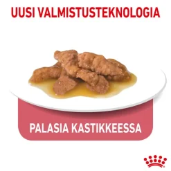 Royal Canin Indoor Sterilised 7+ kastikkeessa