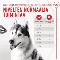 Royal Canin Joint & Ageing Chews Adult Supplement