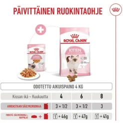 Royal Canin Kitten hyytelössä