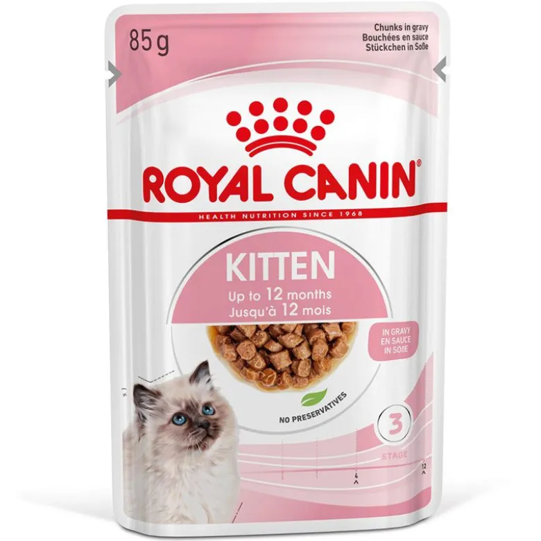 Royal Canin Kitten kastikkeessa