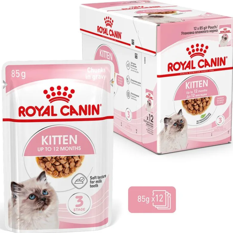 Royal Canin Kitten kastikkeessa