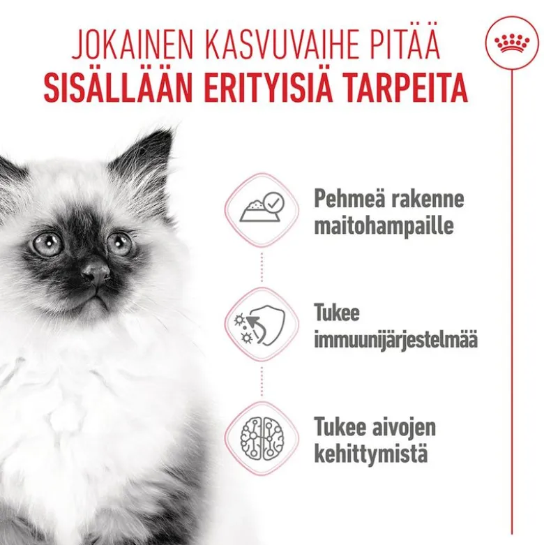Royal Canin Kitten kastikkeessa