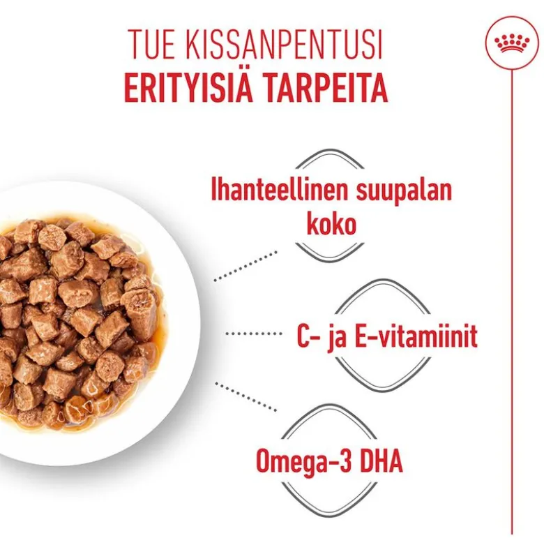 Royal Canin Kitten kastikkeessa
