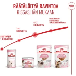 Royal Canin Kitten Mousse