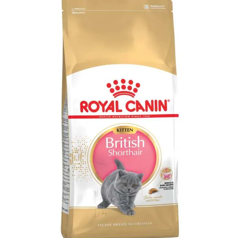 Royal Canin Kitten -säästöpakkaus 2 x 10 kg / 4 kg / 3,5 kg