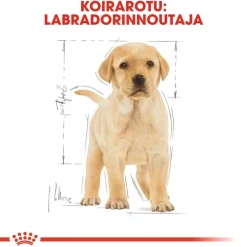 Royal Canin Labrador Retriever Puppy