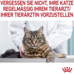 Royal Canin Light Weight Care kastikkeessa