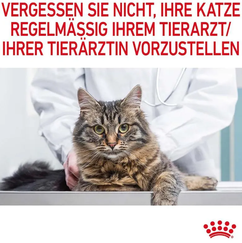 Royal Canin Light Weight Care kastikkeessa