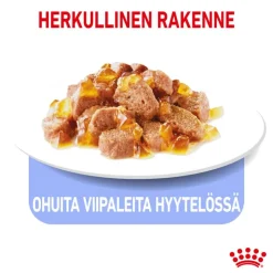 Royal Canin Light Weight Care hyytelössä