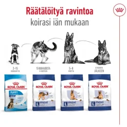 Royal Canin Maxi Adult