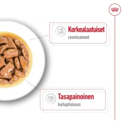 Royal Canin Maxi Adult kastikkeessa