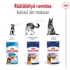 Royal Canin Maxi Adult kastikkeessa