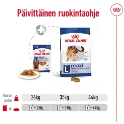 Royal Canin Maxi Adult kastikkeessa