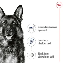 Royal Canin Maxi Ageing kastikkeessa