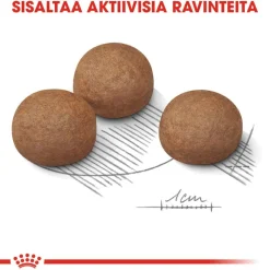 Royal Canin Maxi Digestive Care