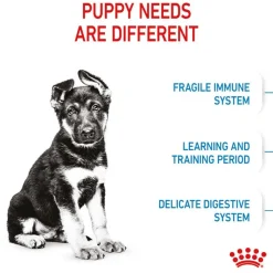 Royal Canin Maxi Puppy