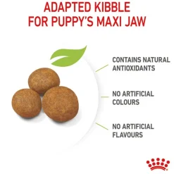 Royal Canin Maxi Puppy