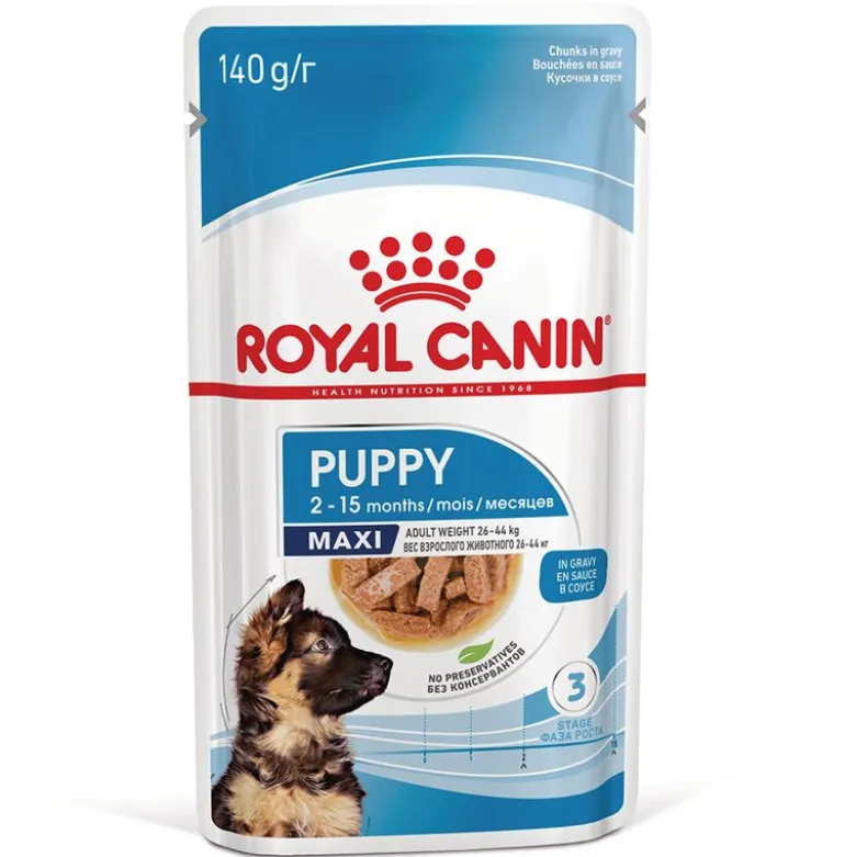 Royal Canin Maxi Puppy kastikkeessa