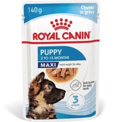 Royal Canin Maxi Puppy kastikkeessa