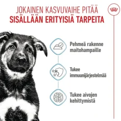 Royal Canin Maxi Puppy kastikkeessa