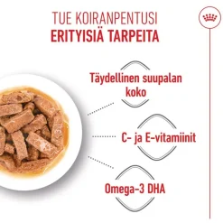 Royal Canin Maxi Puppy kastikkeessa