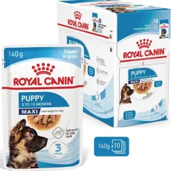 Royal Canin Maxi Puppy kastikkeessa
