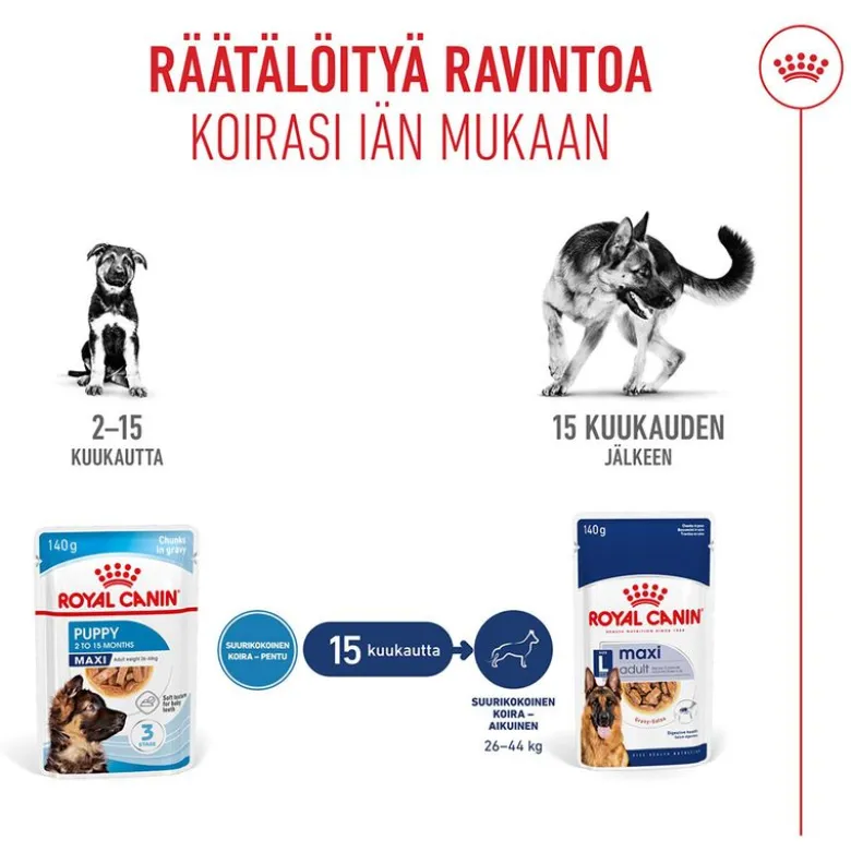 Royal Canin Maxi Puppy kastikkeessa