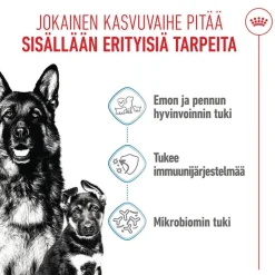 Royal Canin Maxi Starter Mother & Babydog