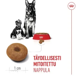 Royal Canin Maxi Starter Mother & Babydog