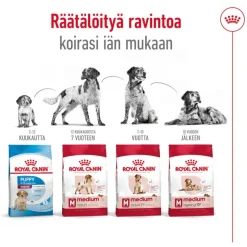 Royal Canin Medium Adult