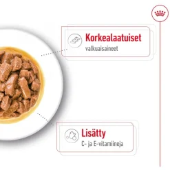 Royal Canin Medium Adult kastikkeessa