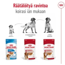 Royal Canin Medium Adult kastikkeessa