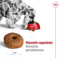 Royal Canin Medium Ageing 10+
