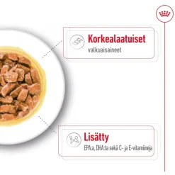 Royal Canin Medium Ageing kastikkeessa