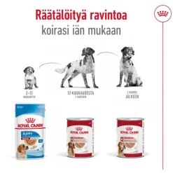 Royal Canin Medium Ageing Mousse