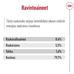 Royal Canin Medium Ageing Mousse