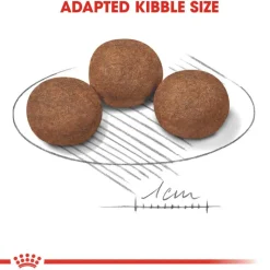 Royal Canin Medium Puppy