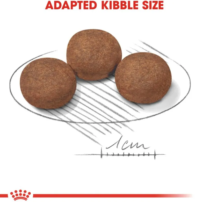 Royal Canin Medium Puppy
