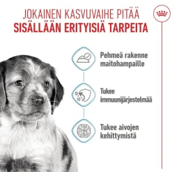 Royal Canin Medium Puppy kastikkeessa