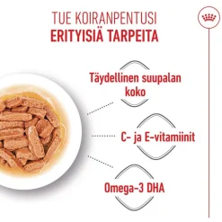 Royal Canin Medium Puppy kastikkeessa
