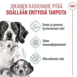 Royal Canin Medium Starter Mother & Babydog