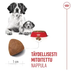 Royal Canin Medium Starter Mother & Babydog