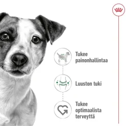 Royal Canin Mini Adult