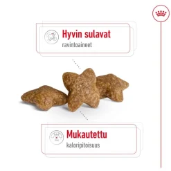 Royal Canin Mini Adult