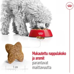 Royal Canin Mini Adult